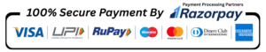UPI Payment Companys